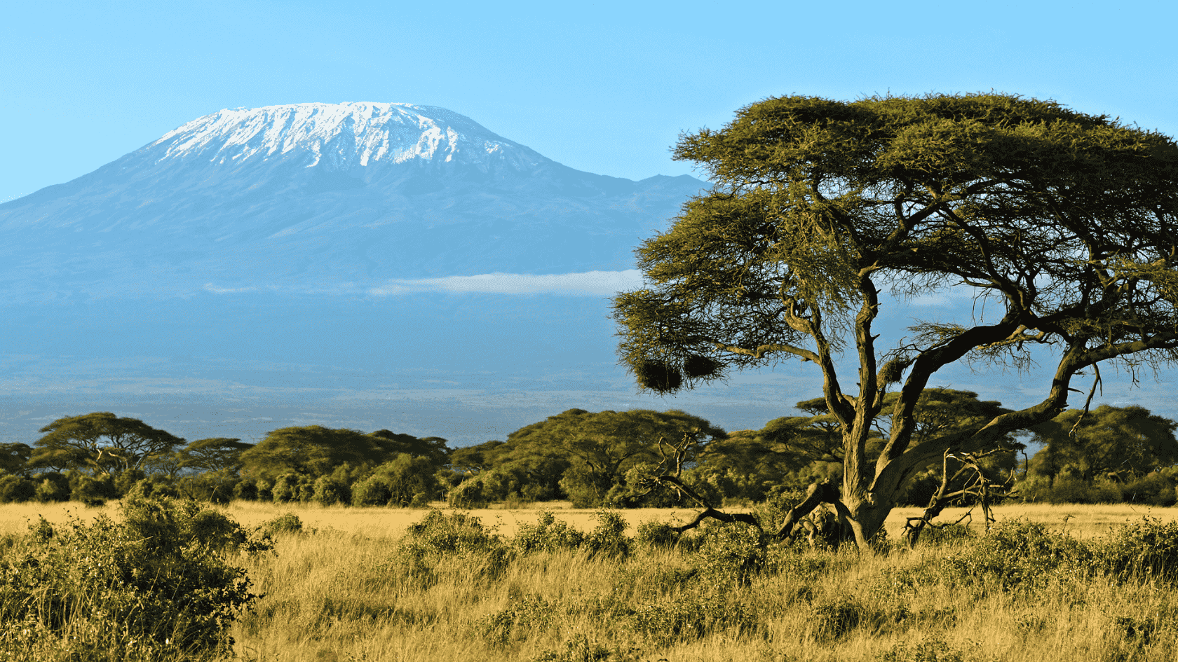 Tanzania Safari Destinations - Tanzania Wildlife Tours with Juhudi Expedition