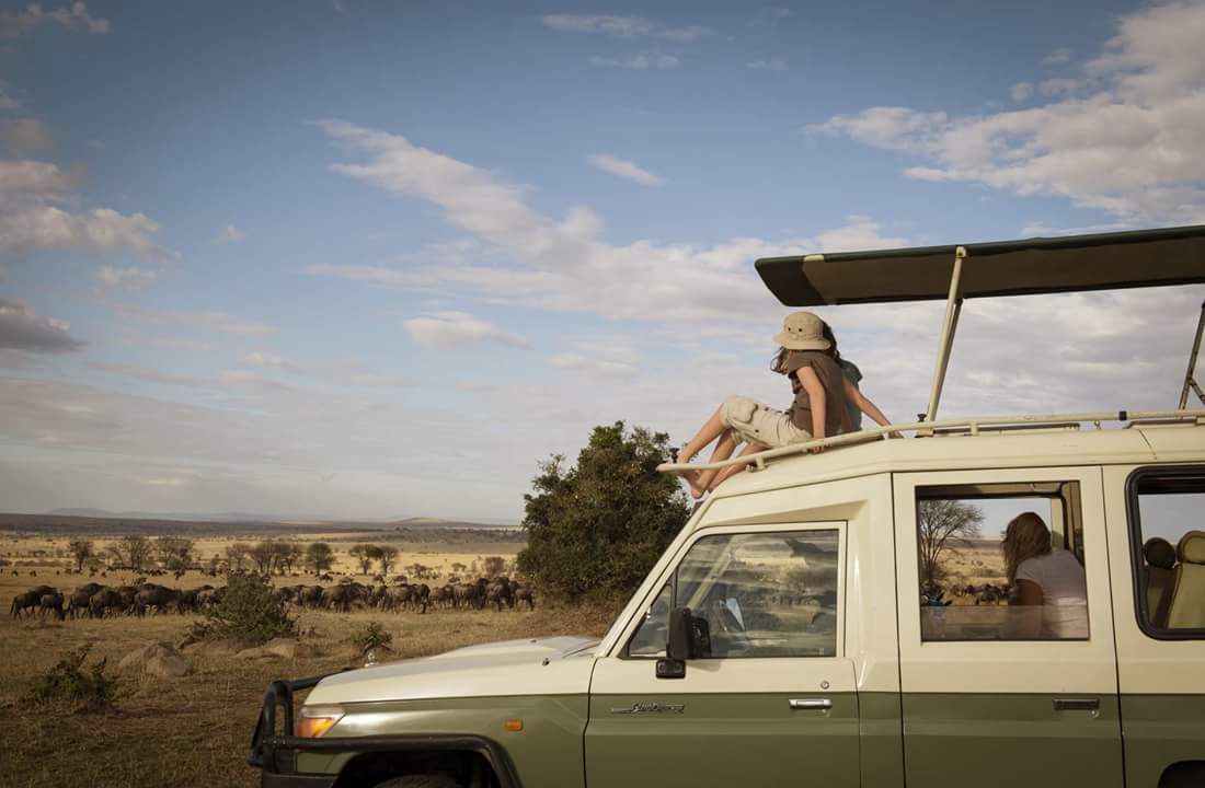 3 Days Tanzania Mid-Range Safari - Safari Tour