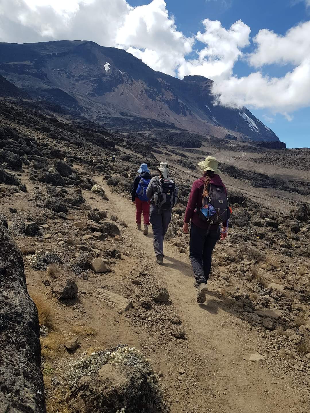 5 Days Marangu Route - Kilimanjaro Trek Gallery