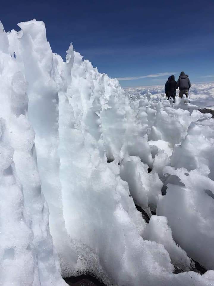 6 Days Rongai Route - Kilimanjaro Trek Gallery