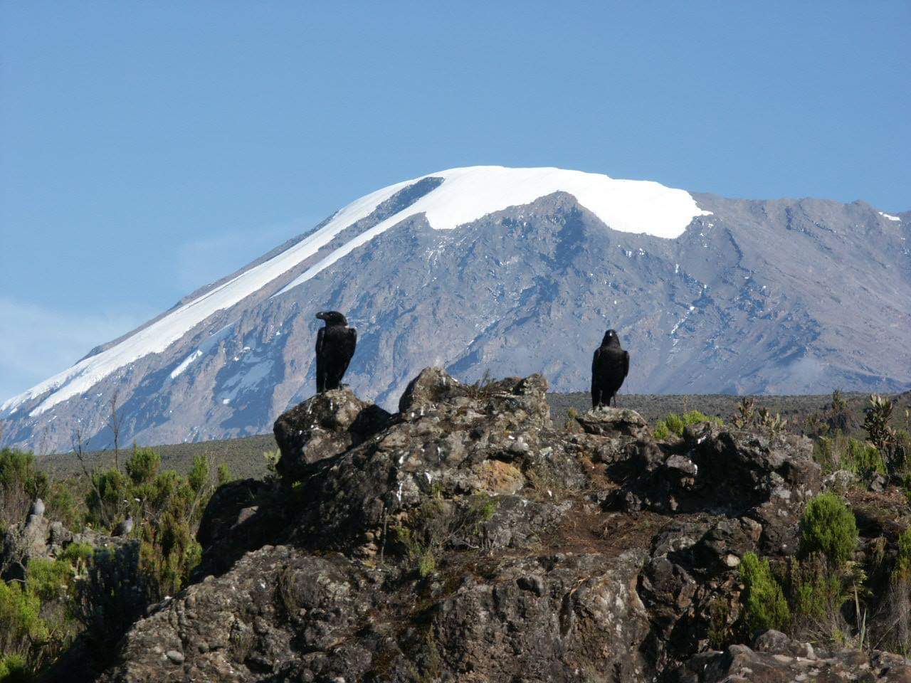 6 Days Rongai Route - Kilimanjaro Trek Gallery