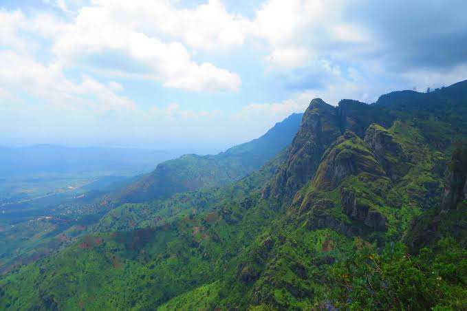 Usambara Mountain climbing  - Kilimanjaro Trek Gallery