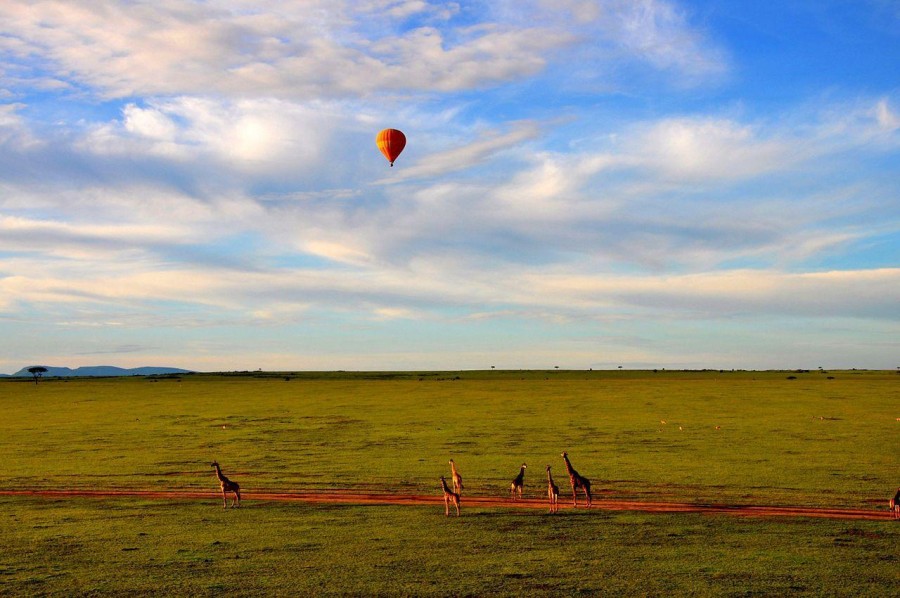 Image Slider No: 2 Tanzania Balloon Safaris