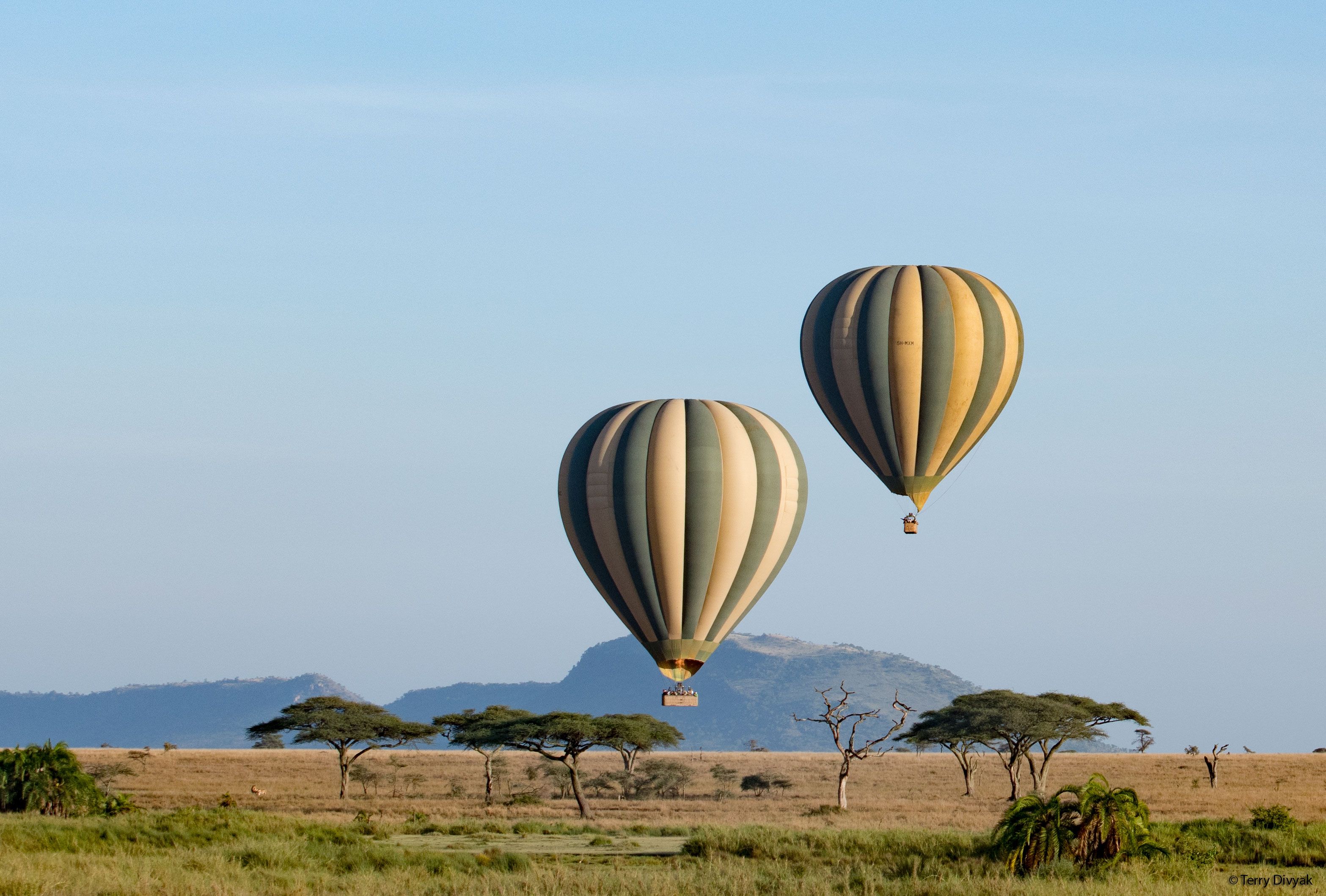 Image Slider No: 1 Tanzania Balloon Safaris