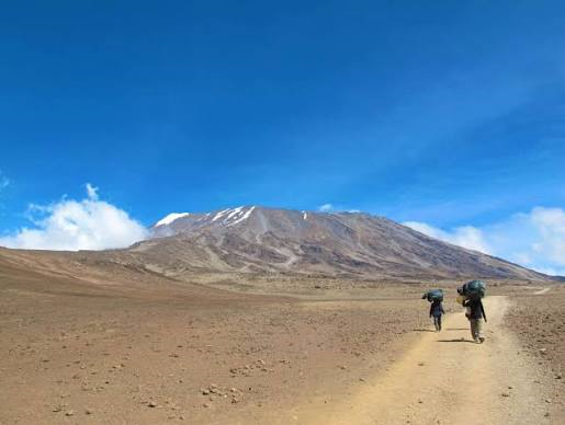 Can You Climb Kilimanjaro Without a Guide? - Tanzania Safari & Kilimanjaro Travel Blog
