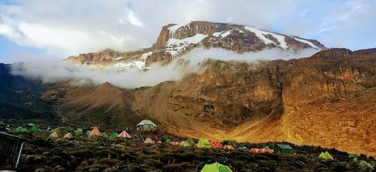 Kilimanjaro Tipping Guide 2026: How Much Should You Tip Your Crew? - Tanzania Safari & Kilimanjaro Travel Blog