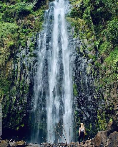 Materuni Waterfall Day Trip - Tanzania cultural and scenic views