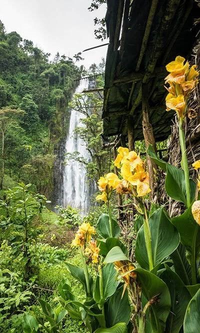 Materuni Waterfall Day Trip - Tanzania tour highlights and experiences