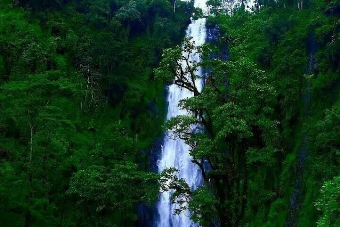 Materuni Waterfall Day Trip