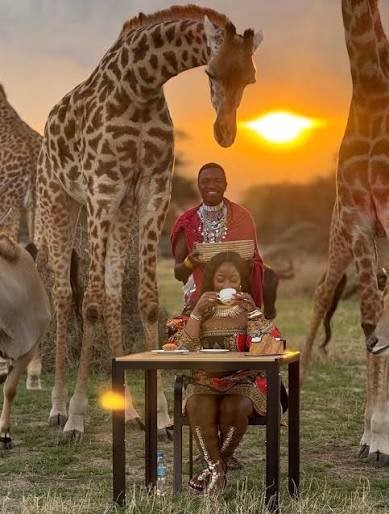 Serval Wildlife Day Tour