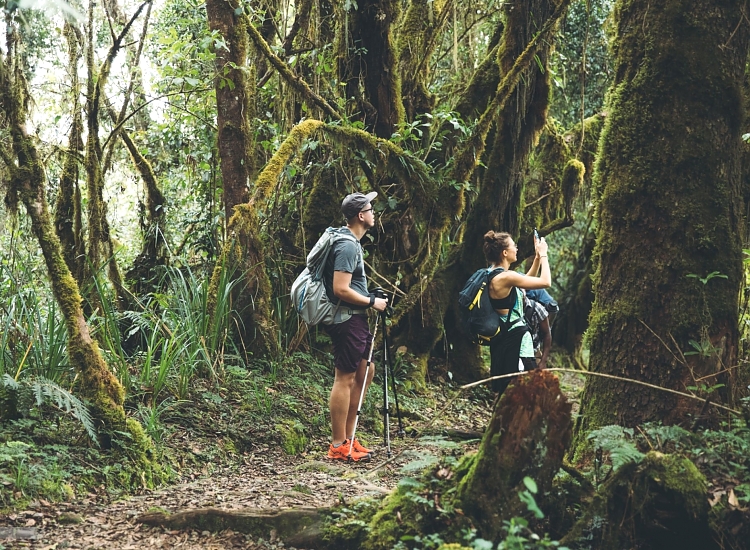3 Days climbing Mount Meru - Kilimanjaro Trek