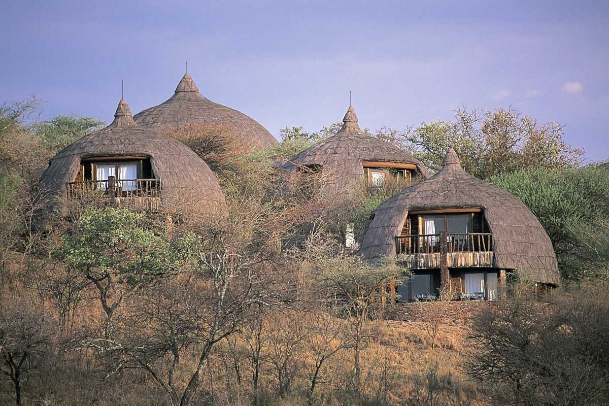 Image Slider No: 4 5 Days Tanzania Lodge Safari
